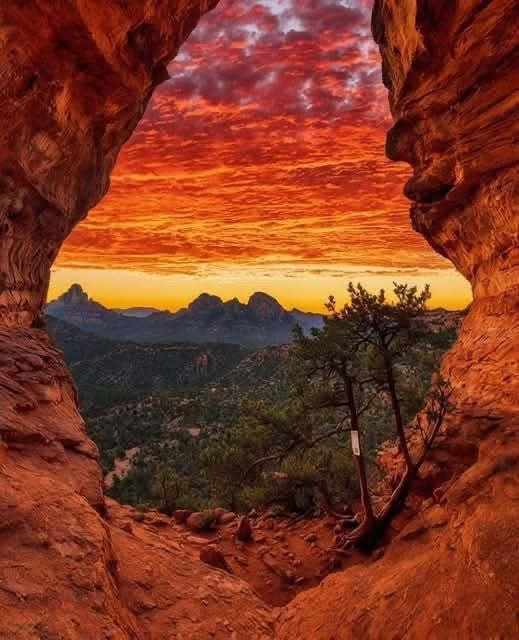 The Great Outdoors